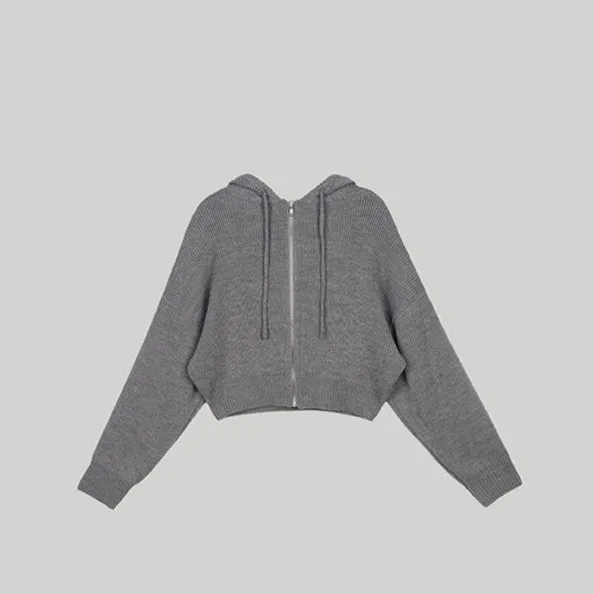 CLASSIC HOODIE ZIP-UP